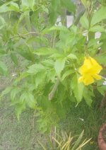 IMG_20260516_181806.jpg