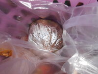 DSCN7587.JPG