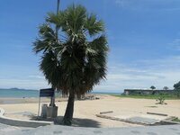 IMG_20260516_121541.jpg
