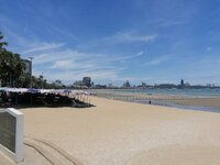 IMG_20260516_121610.jpg