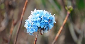 DSC01848.JPG