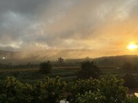 IMG_3975.jpeg