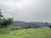 IMG_3963.jpeg