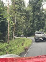 IMG_3964.jpeg