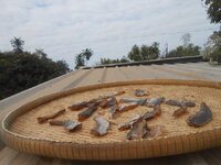 DSCN7492.JPG