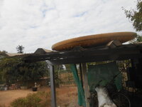 DSCN7491.JPG