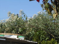 DSCN7252.JPG