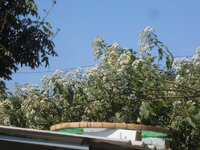 DSCN7251.JPG