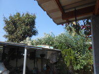 DSCN7250.JPG