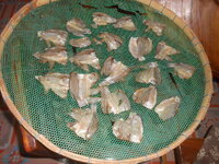 DSCN7233.JPG