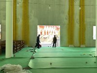 IMG_8623.jpeg IMG_8623.jpeg
