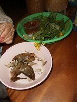 DSCN7690~2.JPG