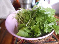 DSCN7482.JPG