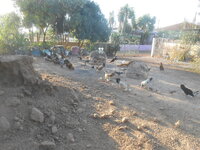 DSCN7931.JPG