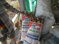 DSCN7935.JPG