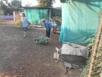 DSCN7930.JPG