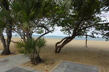 DSC09004.JPG