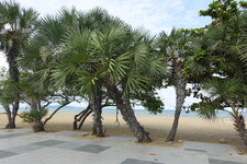 DSC09009.JPG