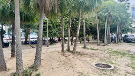 IMG_9420.jpeg
