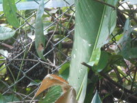 DSCN7400.JPG DSCN7400.JPG