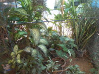 DSCN7398.JPG DSCN7398.JPG