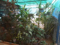 DSCN7396.JPG DSCN7396.JPG