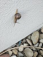 20260519_060224.jpg