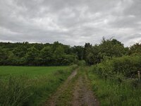 IMG_20260519_181900.jpg