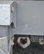 IMG_20260519_201336.jpg