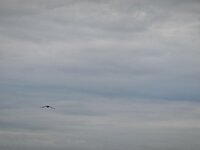 IMG_20260519_190236.jpg