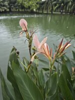 20260519_182243.jpg