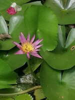 IMG_20260518_104409.jpg