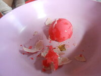 DSCN8111.JPG DSCN8111.JPG