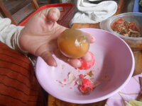 DSCN8110.JPG DSCN8110.JPG