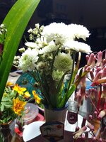 IMG_20260124_182756_710.jpg