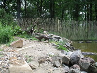 Duitsland-Gelsenkirchen ''Zoom Erlebniswelt-Visotter''.JPG Duitsland-Gelsenkirchen ''Zoom Erlebniswelt-Visotter''.JPG