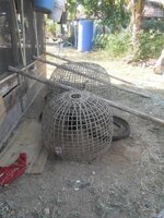 DSCN7996~2.JPG
