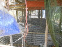 DSCN7997.JPG