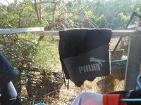 DSCN8001.JPG