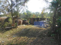 DSCN8006.JPG