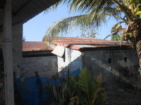 DSCN8004.JPG