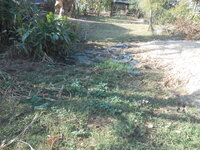 DSCN8005.JPG