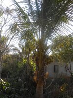 DSCN8007~2.JPG