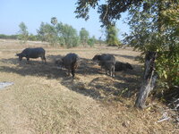 DSCN8009.JPG
