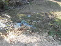 DSCN8008.JPG