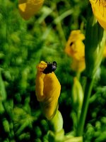 20260522_101555(1).jpg