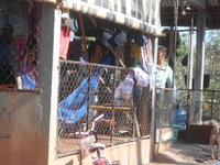 DSCN8015.JPG