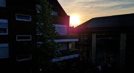20260522_203331.jpg