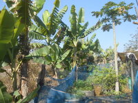 DSCN8022.JPG