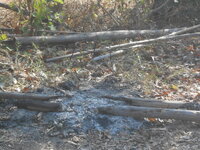 DSCN8027.JPG